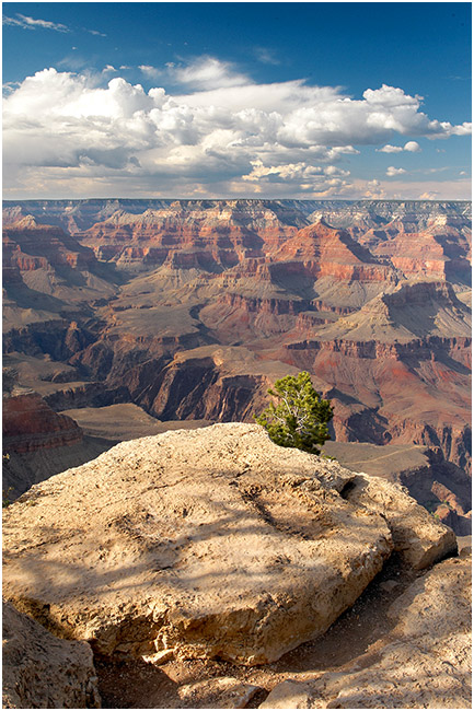 The Grand Canyon1
